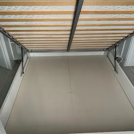 Shangrilla' * San Salvo